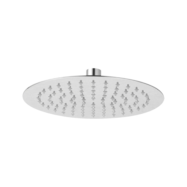 Stainless steel shower head with multiple nozzles and a round shape.
