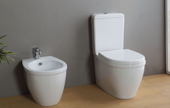 A white ceramic bidet and a toilet with a tank, both are wall-hung models, displayed against a grey background.