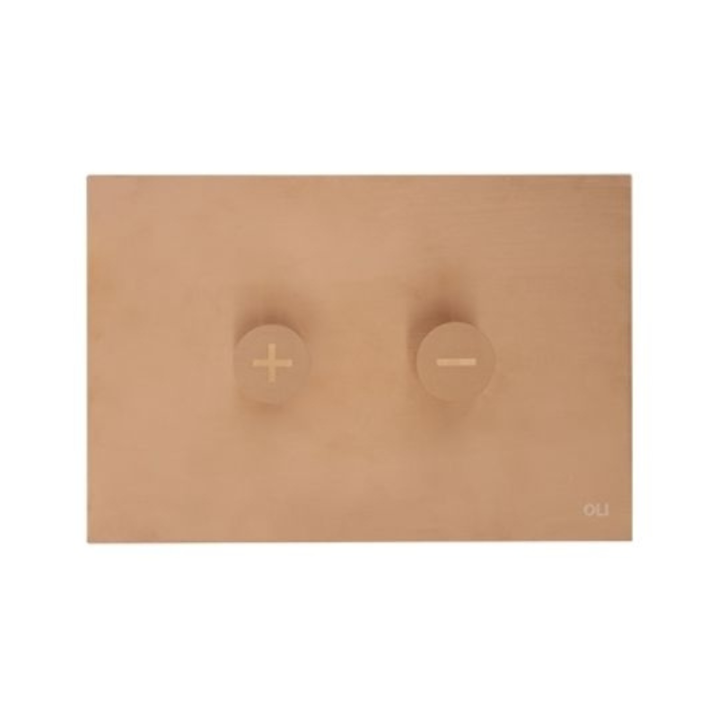 OLI Trumpet designer flush plate Copper — jazz inspired stainless flush plate Pakistan, Sardars