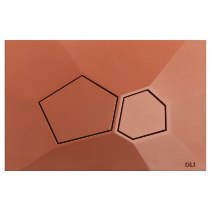 OLI VORONOI sculptural flush plate Burnt Terra — Bio-ABS sustainable flush plate Pakistan, Sardars