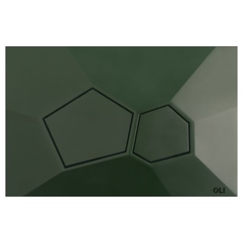 OLI VORONOI sculptural flush plate Forest Terra — eco sustainable flush plate Pakistan, Sardar & Co