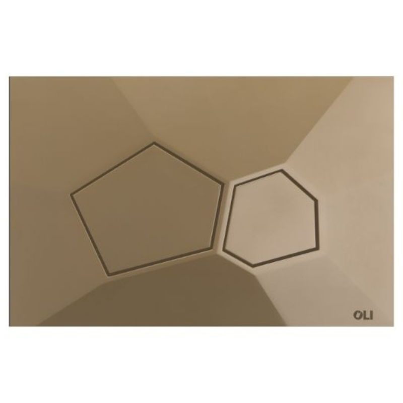 OLI VORONOI sculptural flush plate Organic Gold — Bio-ABS geometric flush plate Pakistan, Sardar & Co