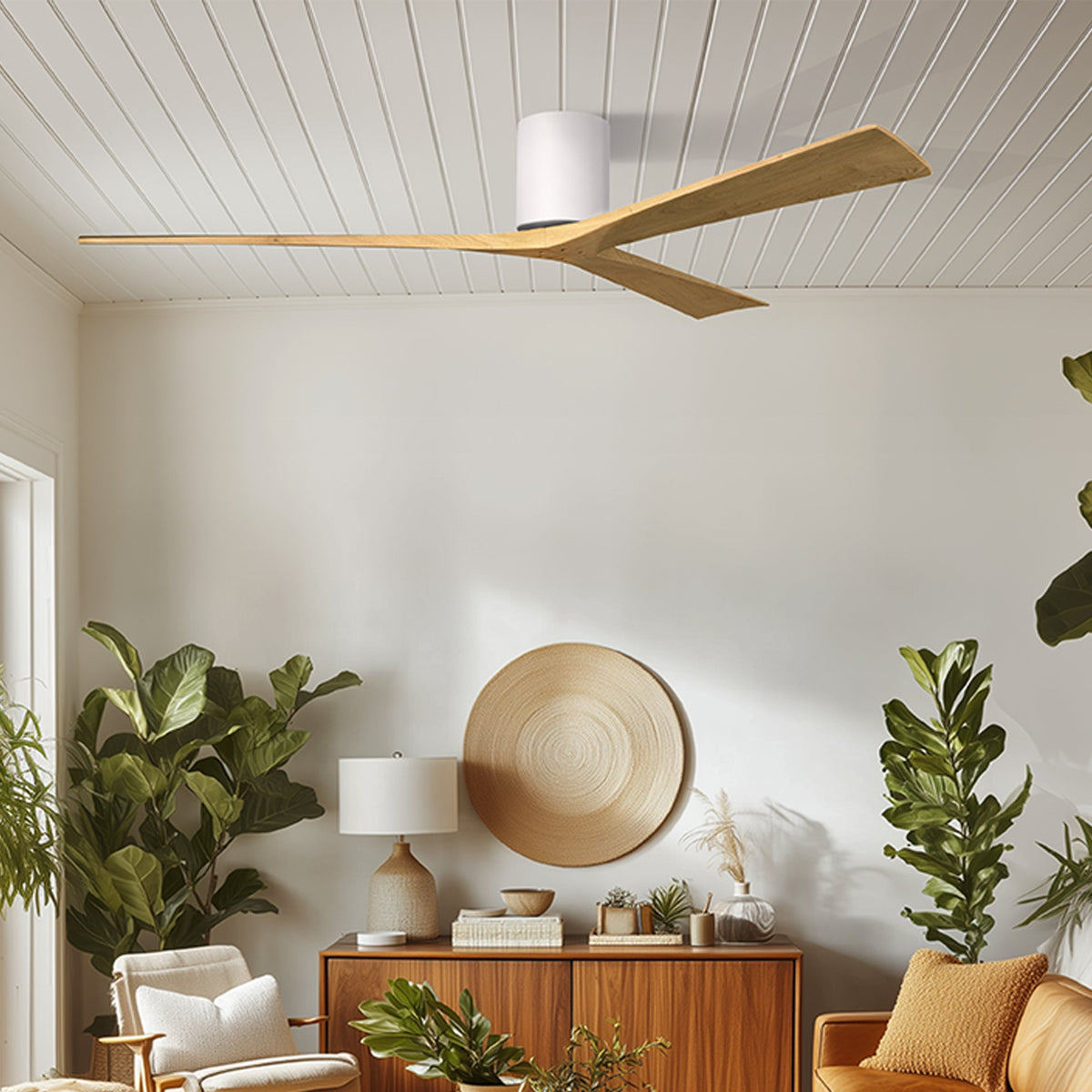 Best Ceiling Fans with Light in Pakistan | Wall & Ceiling Mounted Fans ...