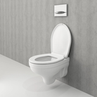 Bocchi Taormina Pro rimless toilet installed in premium bathroom Pakistan — compact wall hung, Sardar & Co Rawalpindi