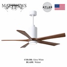 Mattews Patrícia-5 luxury ceiling fan Gloss White motor Walnut — Pakistan, Sardar & Co