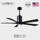 Mattews Patrícia-5 luxury ceiling fan Matte Black motor Matte Black blades — 5CCT DC Pakistan, Sardar & Co