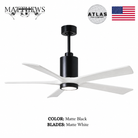 Mattews Patrícia-5 luxury ceiling fan Matte Black motor Matte White blades — Pakistan, Sardar & Co