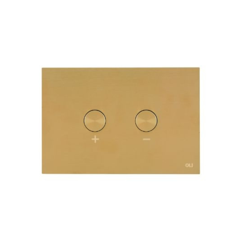 OLI BLINK stainless flush plate Brushed Gold — pneumatic dual-flush Pakistan, Sardar & Co