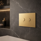 OLI BLINK stainless flush plate installed on concealed toilet wall Pakistan — OLI exclusive Sardar & Co Rawalpindi