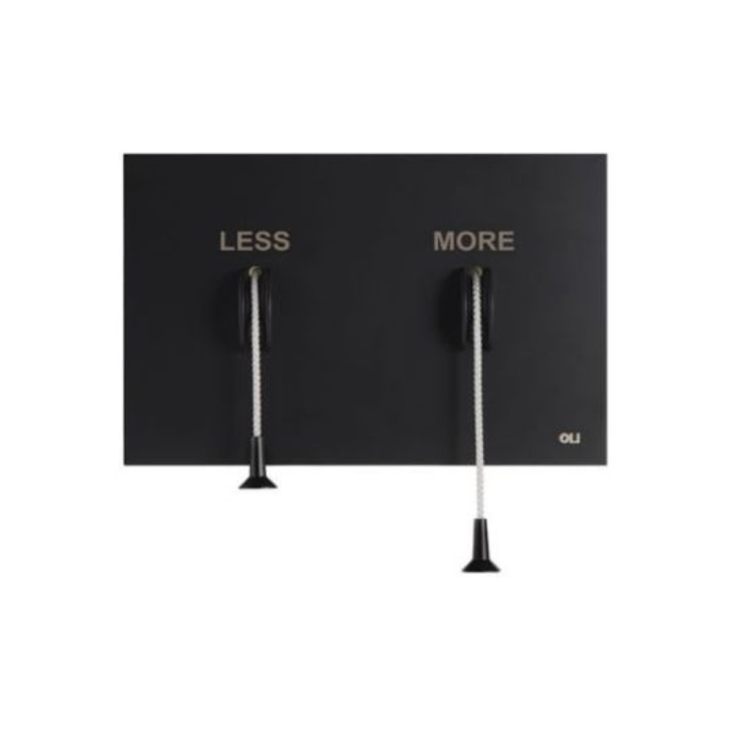 OLI Less is More flush plate Matte Black — 2mm stainless dual-flush plate Pakistan, Sardars