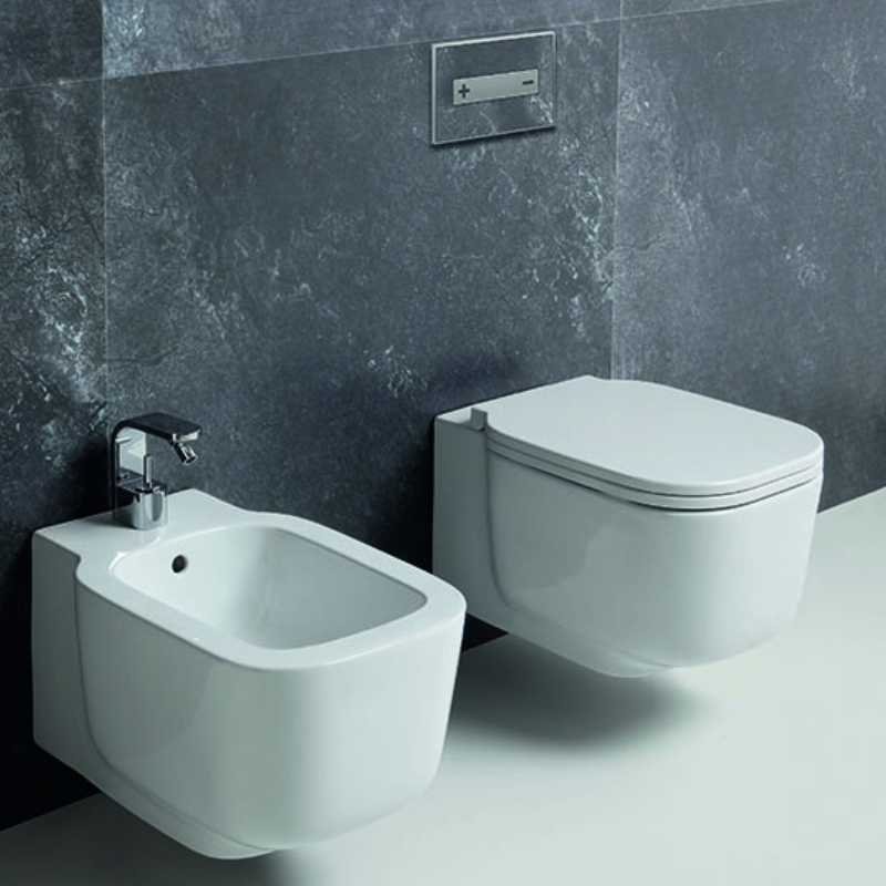 OLI Oceania MIA customisable flush plate Installed on a wall cladding — seamless concealed toilet wall Pakistan, Sardars