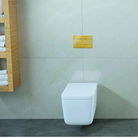 OLI SLIM slim flush plate installed on concealed toilet wall Pakistan — OLI exclusive Sardar & Co Rawalpindi