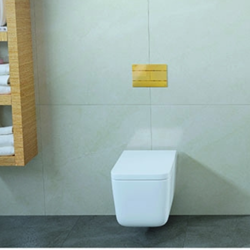 OLI SLIM slim flush plate installed on concealed toilet wall Pakistan — OLI exclusive Sardar & Co Rawalpindi