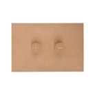 OLI Trumpet designer flush plate Copper — jazz inspired stainless flush plate Pakistan, Sardars