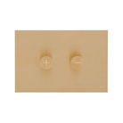 OLI Trumpet designer flush plate Gold — Siza Vieira Pritzker Prize, trumpet piston buttons Pakistan, Sardar & Co
