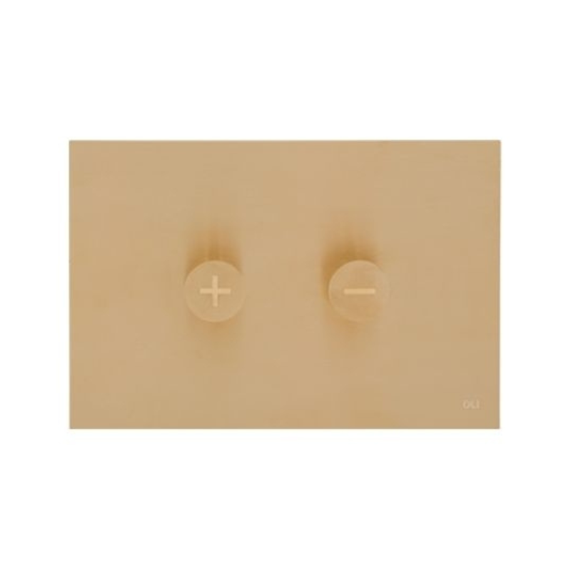 OLI Trumpet designer flush plate Gold — Siza Vieira Pritzker Prize, trumpet piston buttons Pakistan, Sardar & Co