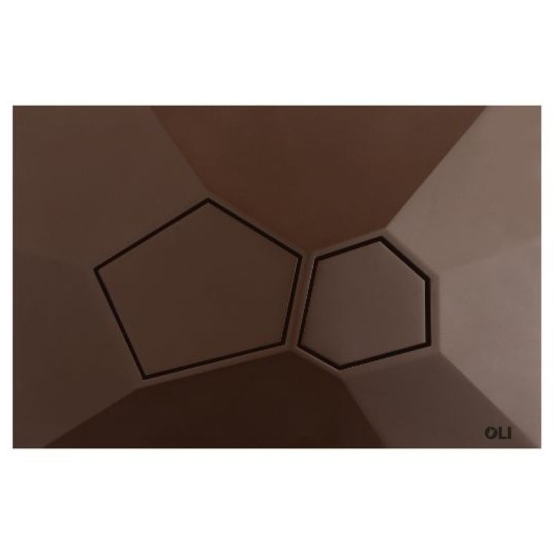 OLI VORONOI sculptural flush plate Raw Umber — nature-referencing matt flush plate Pakistan, Sardar & Co
