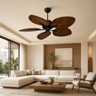 Punkh PS-02 wooden ceiling fan Black + Burly Wood installed — 52 inch premium fan Pakistan, Sardar & Co Rawalpindi