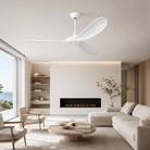 Punkh PS-08 60 inch designer ceiling fan Installed view — solid wood blade Pakistan, Sardar & Co Rawalpindi